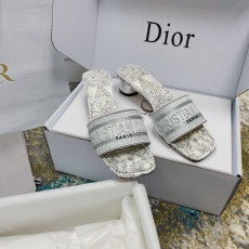 Christian Dior Slippers